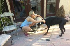 fays-loving-pet-care-dog-cat-boarding-care-tarzana-ca-14