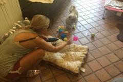 fays-loving-pet-care-dog-cat-boarding-care-tarzana-ca-19