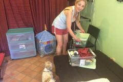 fays-loving-pet-care-dog-cat-boarding-care-tarzana-ca-27